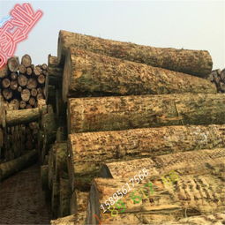 廠家直銷精品輻射松工地木材 品質(zhì)、優(yōu)勢與家具應(yīng)用