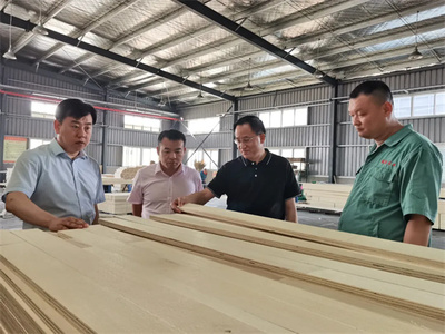 攜手共進(jìn)，共筑未來——熱烈歡迎中國木材保護(hù)工業(yè)協(xié)會會長劉能文一行蒞臨福慶參觀考察指導(dǎo)